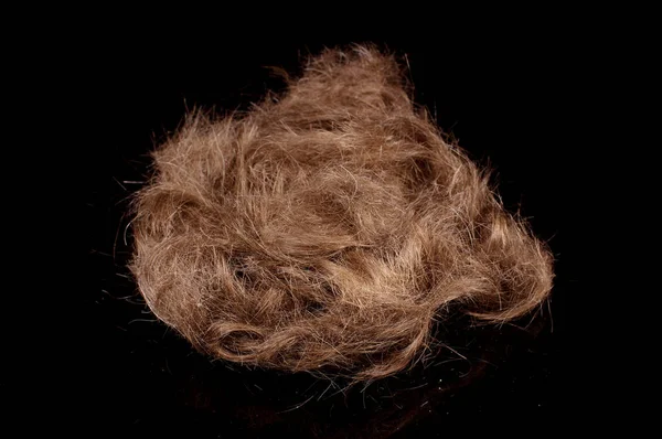 Много Коричневых Мужских Волос Вырезанных Черном Отражающем Фоне — стоковое фото