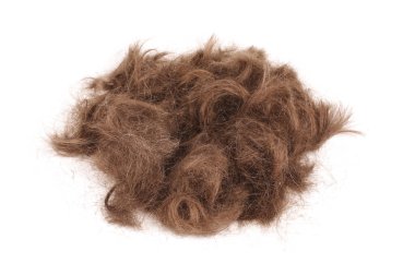 Beyaz yansıtıcı arka planda bir sürü kahverengi erkek saçı var.