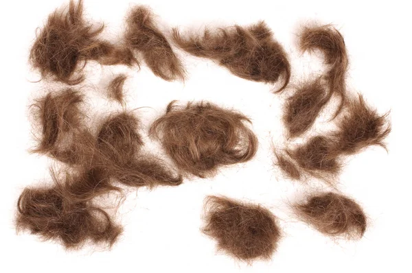 Wiele Brązowych Męskich Włosów Obciętych Białym Tle Odblaskowym — Zdjęcie stockowe