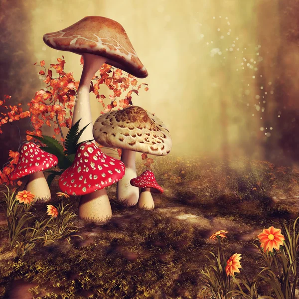 Barevné podzimní houby — Stock fotografie