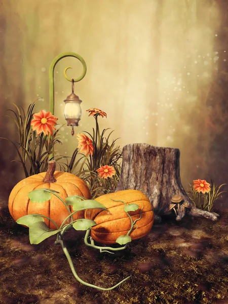 Autumnal scenery with pumpkins — Stock Photo, Image
