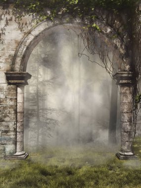 Kapıya bir sisli orman