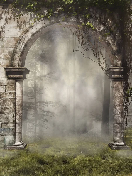 Ворота в туманный лес — стоковое фото