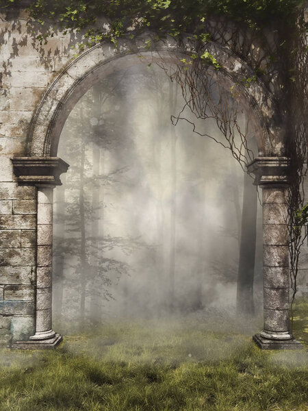 Garden gate with ivy to a foggy forest