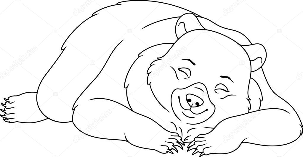 Dormant Coloriage ours — Image vectorielle Malyaka ...