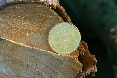 Güneş ışığıyla birlikte bir yığın altın bitcoin kopyası. İş ve finans konsepti. Bitcoin artışı