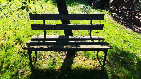 Ancien Banc Bois Dans Jardin Avec Verdure — Photo