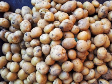 Sokak pazarında patatesli gösteri. Yakın plan. Marketin sebzeleri.. 