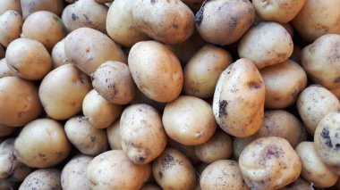 taze organik patates yakın çekim 