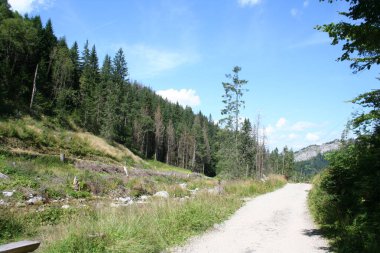 Polonya 'daki Tatra Dağları' ndaki Kasprowy Wierch 'e giden dağ yolu..