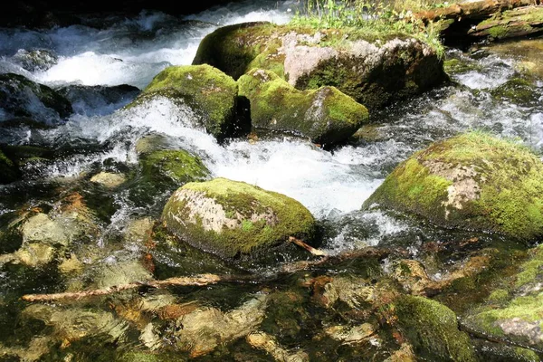 Ποταμός Που Ρέει Μέσα Από Βράχους Ένα Καταπράσινο Καλοκαιρινό Δάσος — Φωτογραφία Αρχείου