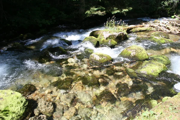 Rio Montanha Flui Através Uma Pilha Pedras Entre Moitas Paisagem — Fotografia de Stock