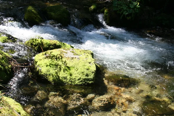 Rio Montanha Verão Com Pequenas Cachoeiras Bela Paisagem Verão Dos — Fotografia de Stock