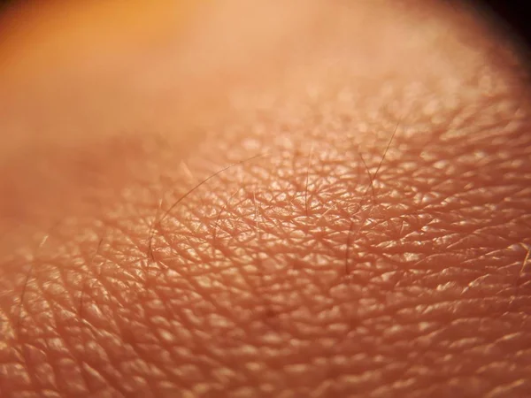 Human Skin Macro Photo Close — Stock Photo, Image