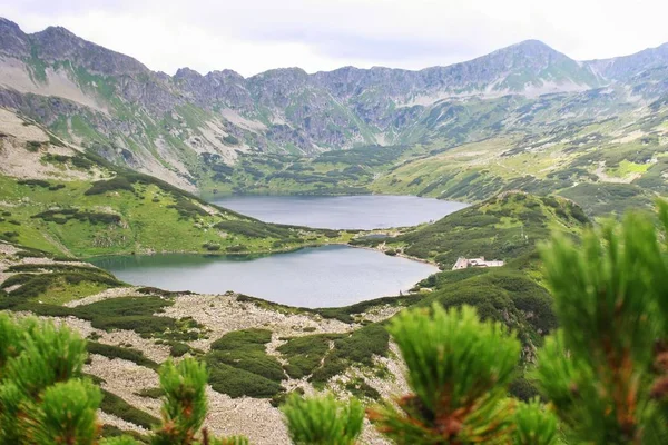 Valle Los Cinco Estanques Las Altas Montañas Tatras Cordillera Polonia —  Fotos de Stock