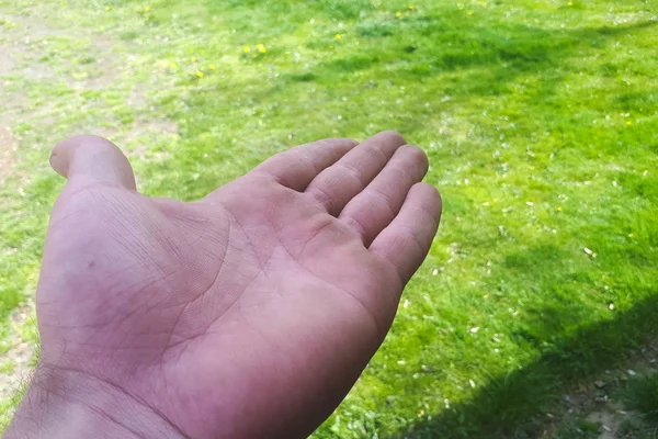 Open Man Hand Bokeh Grass Background — Stock Photo, Image