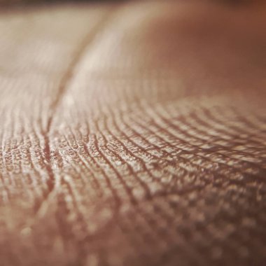 İnsan derisinin dokusu. Aşırı yakın çekim makro sho