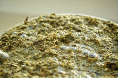 Yakın plan yeşil yerba dostum. Su basmış yba mate çay yaprakları. Paraguay ve Arjantin 'den demlenmiş çay ve çay yaprakları..