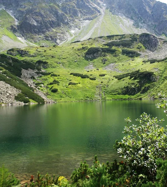 波兰山上的池塘 水面反射出光芒 背景是塔特拉山山脉 春天岩石上长着绿草 — 图库照片