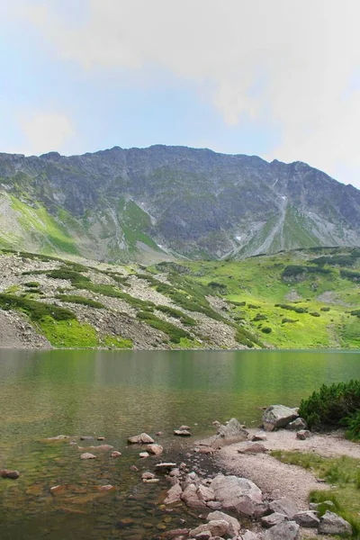 Dammen Polska Bergen Med Ljus Reflekterande Från Vattenytan Bakgrunden Tatra — Stockfoto