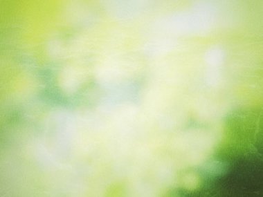 yeşil doğa eko kavramı için soyut bulanık arkaplan