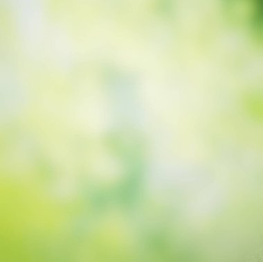 Soyut yeşil doğa parlak güneş ışığı, parlaklık ve bokeh etkisi ile bulanık arkaplan, tasarım ögesi veya çevre dostu kavramlarda sunum şablonu için bulanık arkaplan