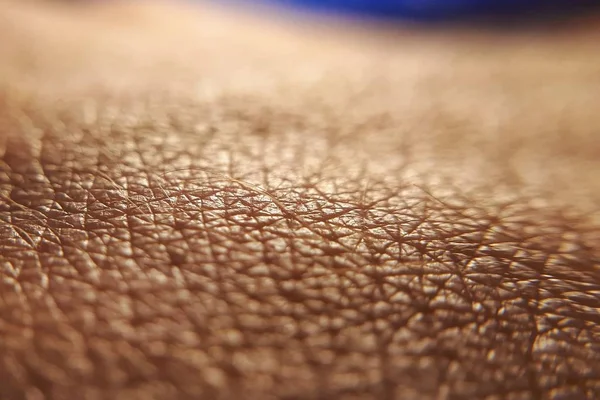 Huidkanker Concept Sluit Menselijke Huid Macro Epidermis Textuur Poriën Plooien — Stockfoto