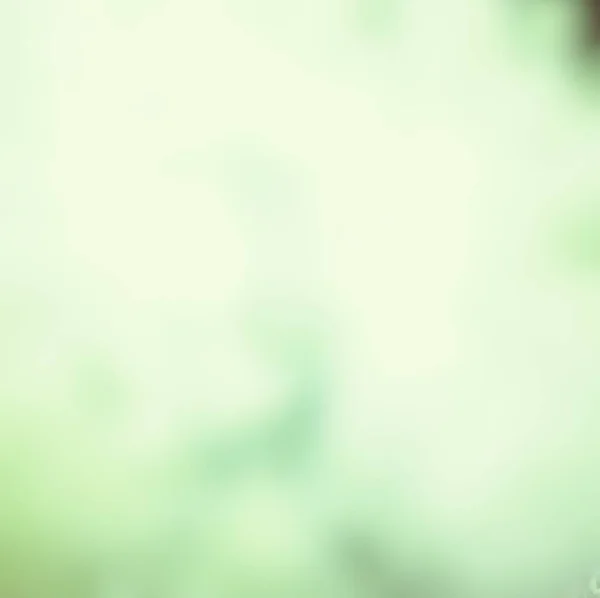 Abstract Green Nature Blurred Background Bright Sunlight Flare Bokeh Effect — Stock Photo, Image