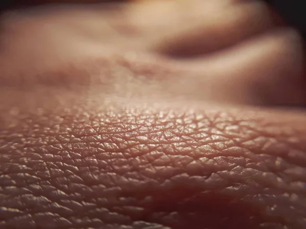 Makrohaut Menschlicher Hand Medizin Und Dermatologisches Konzept Details Zum Hintergrund — Stockfoto