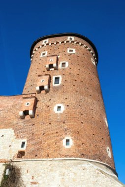 Wawel Kraliyet Kalesi Kulesi ve Katedral. Yaz zamanı..