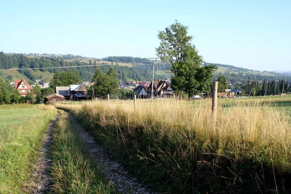 Una Strada Sterrata Montagna Coperta Erba Alta Case Unifamiliari Sullo — Foto Stock