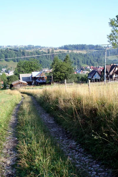 山中的一条土路 长满了青草 后面是独户人家的房子 波兰山区的一个美丽的早晨 — 图库照片