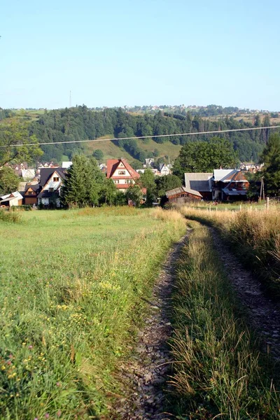 Ein Feldweg Den Bergen Bedeckt Mit Hohem Gras Und Einfamilienhäuser — Stockfoto