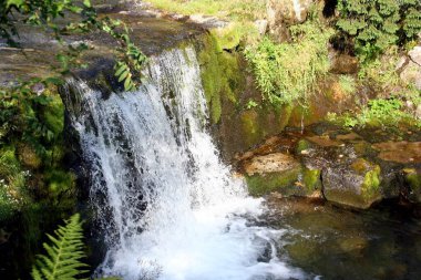 Tatra Dağları 'nda dağ deresi ve küçük şelale.