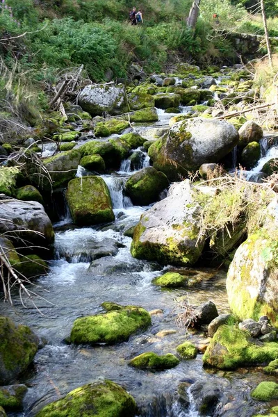 Beautiful High Mountain Stream — Stock Photo, Image