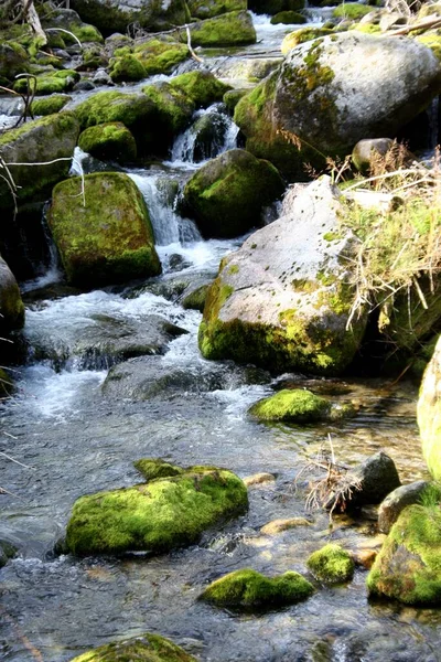 Mountain Stream Springtime — Stock Photo, Image