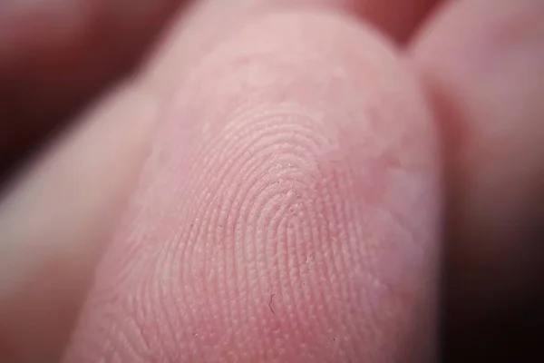 指の皮膚マクロ写真の指紋テクスチャのクローズアップ — ストック写真