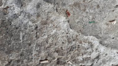 Arka plan için beton duvar beyaz ve gri renkli. Çizik ve çatlaklarla eski grunge dokuları.