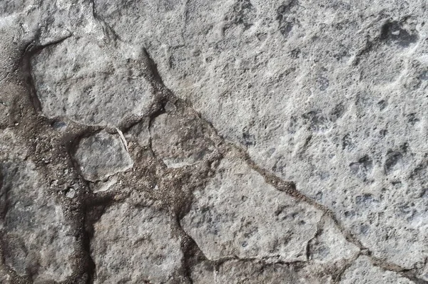 Beton Muur Witte Grijze Kleur Voor Achtergrond Oude Grunge Texturen — Stockfoto