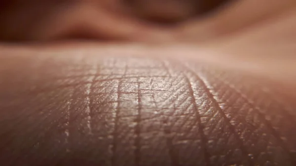 Yakından çek. Arka plan dermatolojisi için makro shin el dokusu.