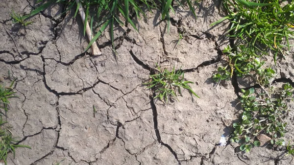 Droogte Scheuren Grond Geen Warm Water Gebrek Aan Vocht Gedroogde — Stockfoto