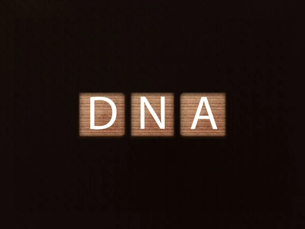 Inscription Dna Wooden Blocks Black Background Letter Text Wooden Cube — Stock Photo, Image