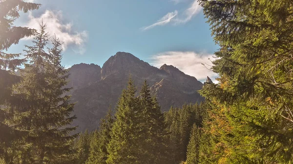 Vakkert Fjellandskap Polen Europa Mountain Tourism Konseptet Utsikt Til Tatra – stockfoto