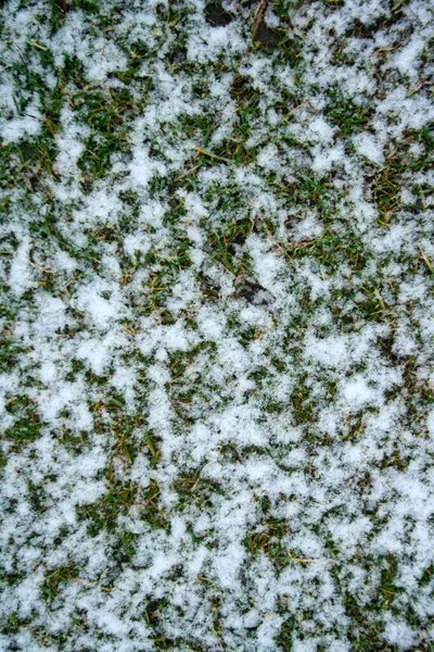 Sníh Trávě Textury Pro Pozadí Zimní Koncept — Stock fotografie