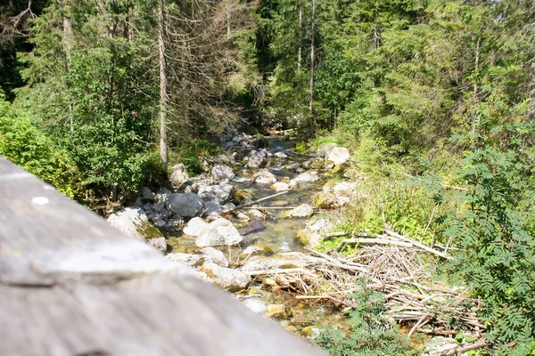 Mountain stream. A view of a mountain stream in National Park High Tatras