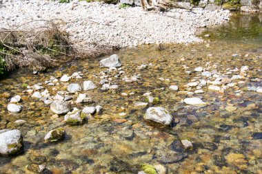 Dağ deresi. Ulusal Park Lisesi Tatras 'ta bir dağ deresi manzarası