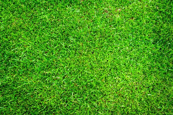 Erba Verde Artificiale Campo Sportivo Texture Sfondo — Foto Stock