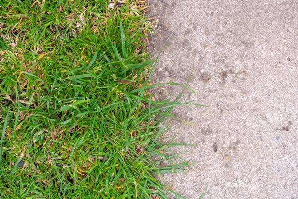 Half Green Artificial Grass Gray Cement Floor Concept Comparison Green — Stock Photo, Image