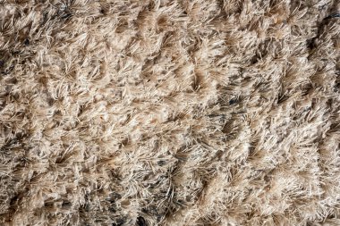 Temiz gri halı dokusu. Üst görünüm gri halı dokusu detayı