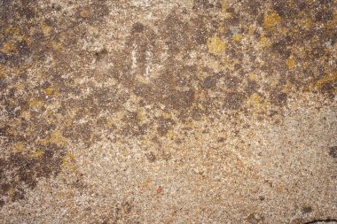 Gri duvar arka planı. Çimento ya da beton doku. Grunge desen tasarımı.